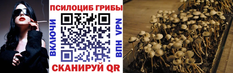 Псилоцибиновые грибы ЛСД  Грязовец 
